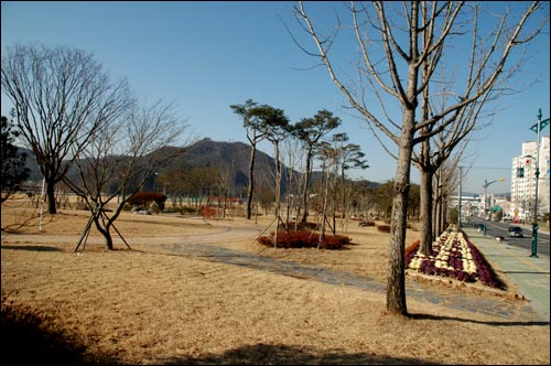 합천군 황강변에 2004년 조성된 새천년생명의숲 전경. 